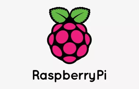 Logo Raspberry Pi